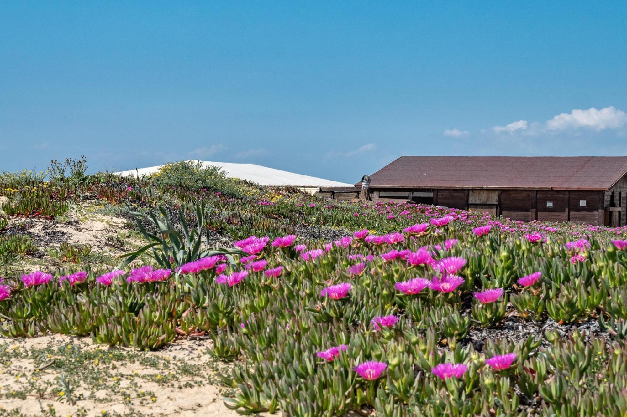 Precioso Chalet A Pie De Playa Punta Umbría Exteriér fotografie